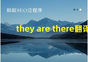 they are there翻译