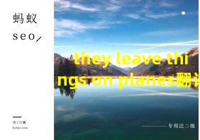 they leave things on planes翻译