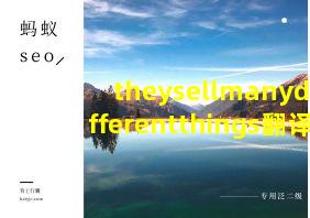 theysellmanydifferentthings翻译