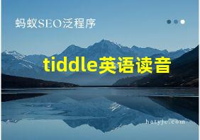 tiddle英语读音