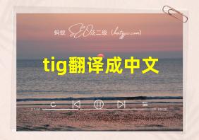 tig翻译成中文