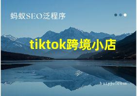 tiktok跨境小店