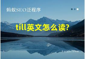 till英文怎么读?