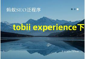 tobii experience下载