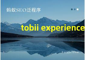 tobii experience