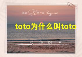 toto为什么叫toto