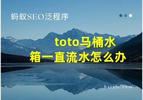 toto马桶水箱一直流水怎么办