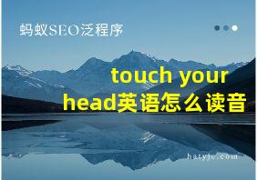 touch your head英语怎么读音