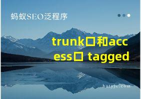 trunk口和access口 tagged