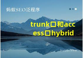 trunk口和access口hybrid