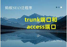 trunk端口和access端口