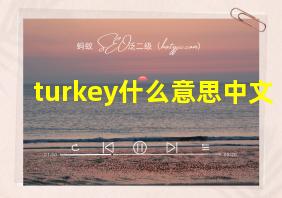 turkey什么意思中文