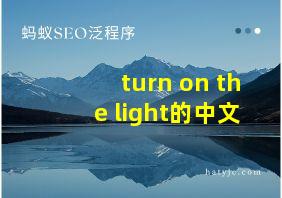 turn on the light的中文