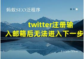 twitter注册输入邮箱后无法进入下一步