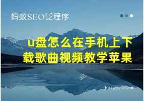 u盘怎么在手机上下载歌曲视频教学苹果