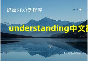 understanding中文翻译