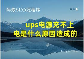 ups电源充不上电是什么原因造成的