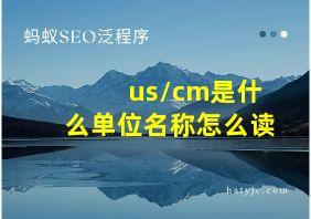 us/cm是什么单位名称怎么读