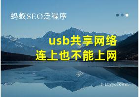 usb共享网络连上也不能上网