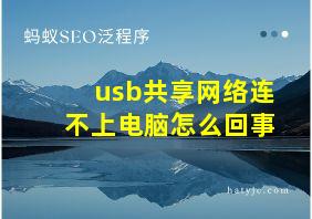 usb共享网络连不上电脑怎么回事