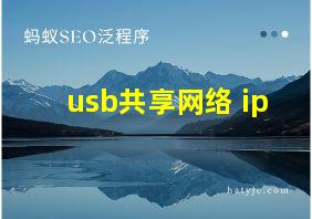 usb共享网络 ip