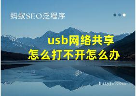 usb网络共享怎么打不开怎么办