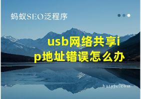 usb网络共享ip地址错误怎么办