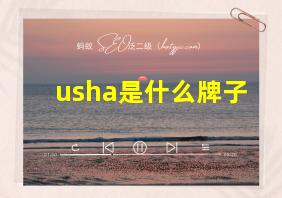 usha是什么牌子