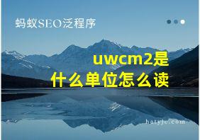 uwcm2是什么单位怎么读