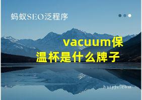 vacuum保温杯是什么牌子