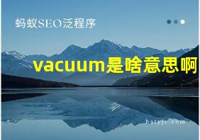 vacuum是啥意思啊