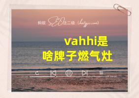 vahhi是啥牌子燃气灶