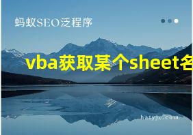 vba获取某个sheet名