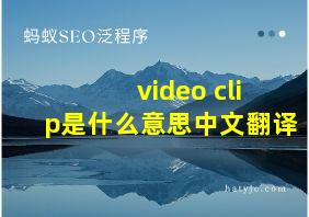 video clip是什么意思中文翻译