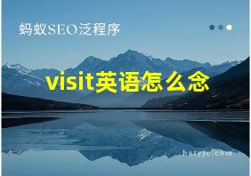 visit英语怎么念