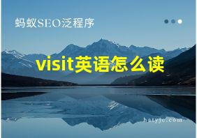 visit英语怎么读