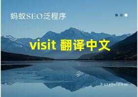 visit 翻译中文