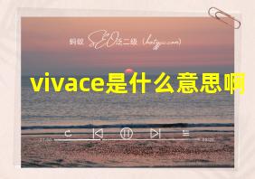 vivace是什么意思啊