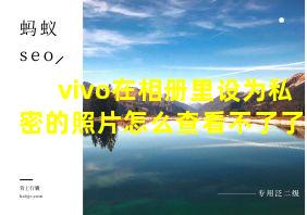 vivo在相册里设为私密的照片怎么查看不了了