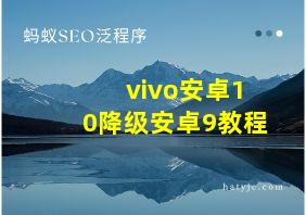 vivo安卓10降级安卓9教程