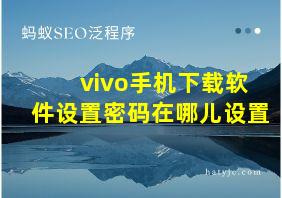 vivo手机下载软件设置密码在哪儿设置