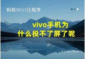 vivo手机为什么投不了屏了呢