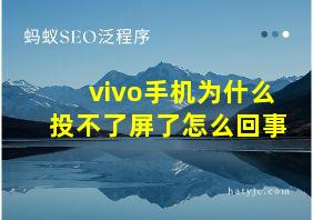 vivo手机为什么投不了屏了怎么回事