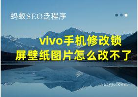 vivo手机修改锁屏壁纸图片怎么改不了