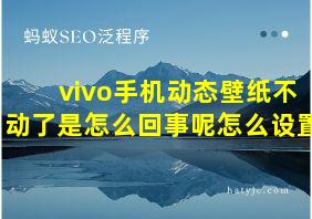 vivo手机动态壁纸不动了是怎么回事呢怎么设置