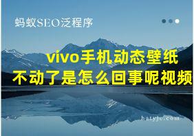 vivo手机动态壁纸不动了是怎么回事呢视频