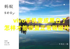 vivo手机变成黑白了怎样才能恢复正常呢图片