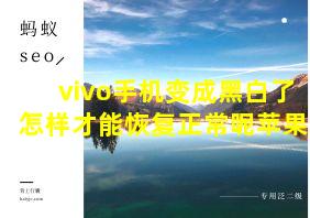 vivo手机变成黑白了怎样才能恢复正常呢苹果