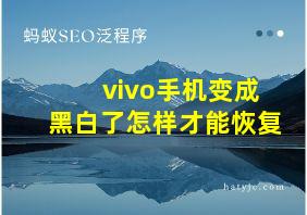 vivo手机变成黑白了怎样才能恢复