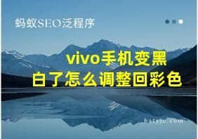 vivo手机变黑白了怎么调整回彩色